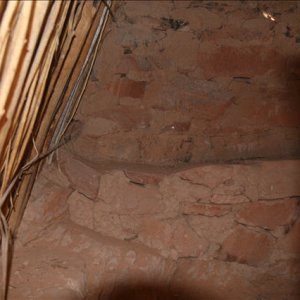 3 Roof Ruins