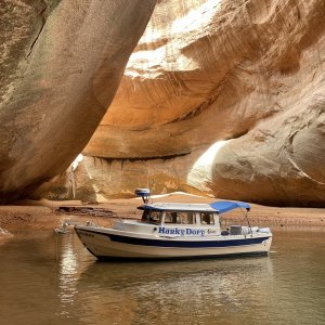 Escalante, Clear Creek in the Cathedral at low water