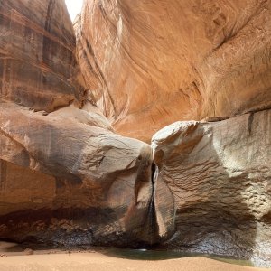 Media 'Cathedral waterfall' in album 'Escalante, Clear Creek in the Cathedral at low water'