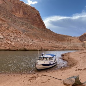 Media 'Mokai Canyon night spot' in album 'Escalante, Clear Creek in the Cathedral at low water'