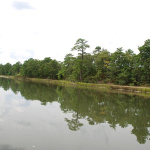 Media 'DSC 0067' in album 'Westward bound on Long Creek, VA.Beach, VA'