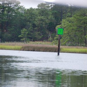 Media 'DSC 0071' in album 'Westward bound on Long Creek, VA.Beach, VA'