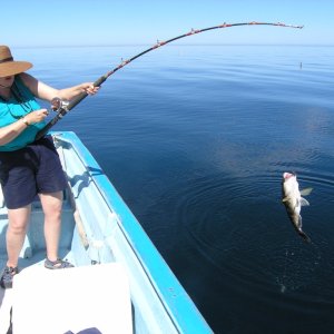 Lori hauls in a fish. We caught 20 of these little buggers (several different species.)