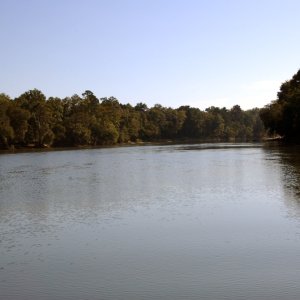 Very Skinny Water (2ft. Adv.)
