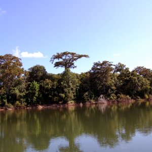 Media 'Beautiful Landscapes' in album 'Putting in at Lumber City, Ga. (Atamaha River)'