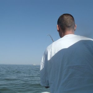 Media '' in album 'Sturgeon 06''