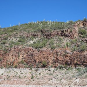Roosevelt Lake
