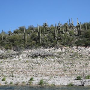 Roosevelt Lake