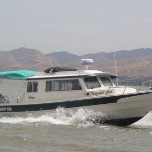 Dr. Bob in Frequent Sea