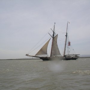 Media 'sailing ship seen on the way to the duck club' in album 'On my way to Rio Vista I saw this craft about 8ft long. Then I saw a USGS boat on the oppsite shore. I think this was a bottom survey vessel.'