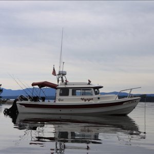 Media 'Another view Moran Bay' in album 'Moran Bay'