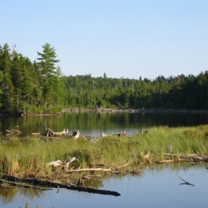Prime moose habitat; just couldn't capture them on the camera.