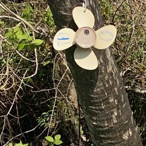 Media 'Spotted in the wild on Blue Creek! The last storm must have blown away any camouflage because it was out in the open &#128514;' in album 'Spotted in the wild on Blue Creek! The last storm must have blown away any camouflage because it was out in the open &#128514;'