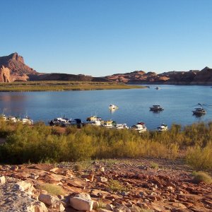 Another view of C-Dory\'s at Oak Canyon 9-25
