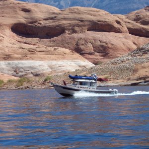 Grissly heading up lake near Rainbow Natural Bridge 9-26
