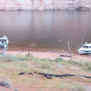 Bosa Nova with Jeff and Halcyon with Bill and El on board in Explorer Canyon 9-26