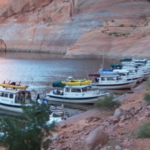 The whole line up of 10 C-Dory\'s in Forgotten Canyon C-Cakes arrived after photo was taken to make number eleven 9-27