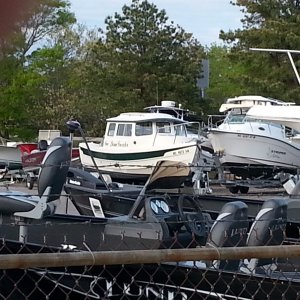Media '' in album 'Picking up New boat up in Mass.'