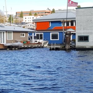 Hidden TomCat in the canals of houseboats on Lake Union