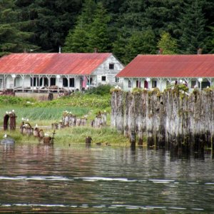 Media 'Taku Harbor cannery ruins & private buildings' in album 'Gastineau Channel heading south with eagle escort.'