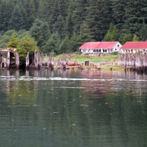 Media 'Another view of cannery ruins' in album 'Gastineau Channel heading south with eagle escort.'