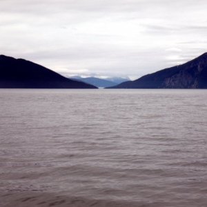 Media 'Parting view of Taku Inlet & Glacier' in album 'Gastineau Channel heading south with eagle escort.'
