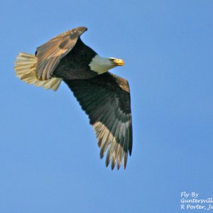 Fly By