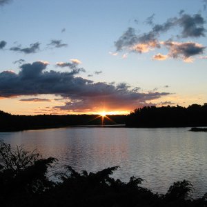 IMG 2736