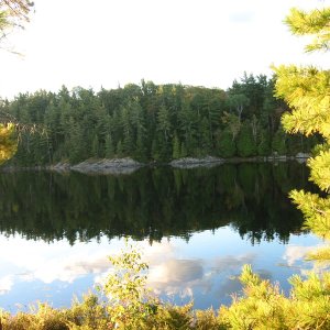 IMG 2747