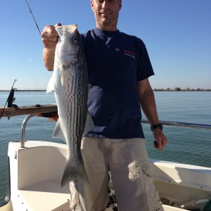 Striper time
