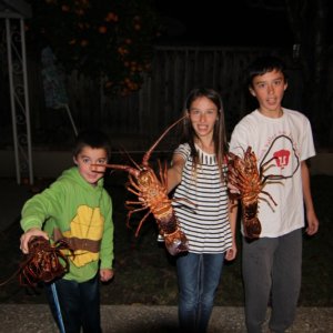 Lobster have been selected by the kids for dinner