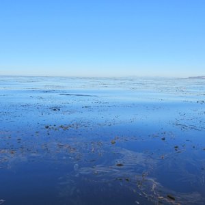 Lake Flat Ocean