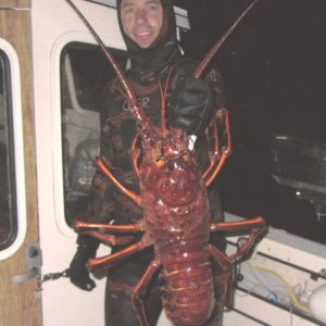12.6lbs bug