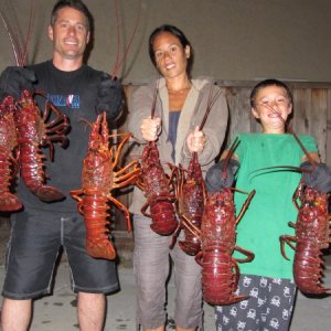 IMG 0835