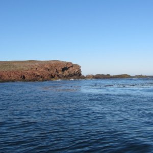 IMG 0710