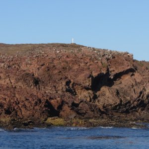 IMG 0709