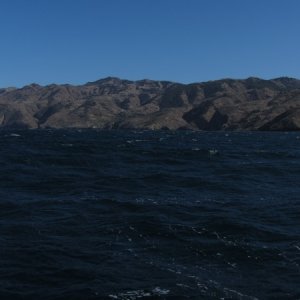 IMG 0722