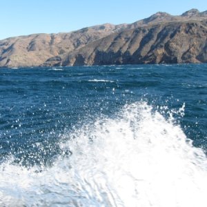IMG 0735