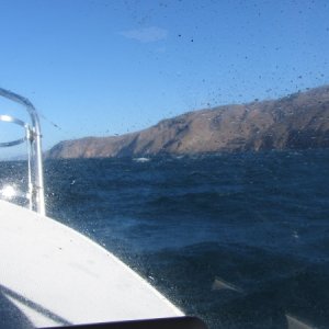 IMG 0733
