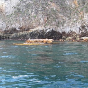 IMG 0738