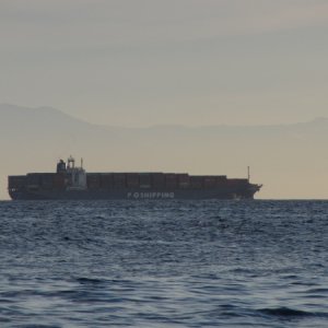 IMG 0742
