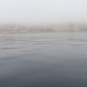 IMG 0796