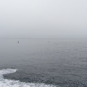 IMG 0800