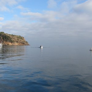 IMG 0607