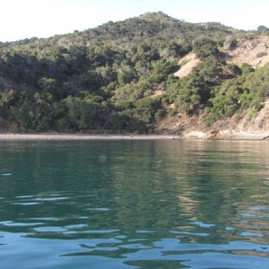 IMG 0608