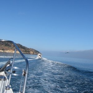 IMG 0620