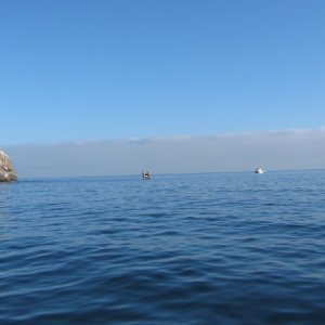 IMG 0631