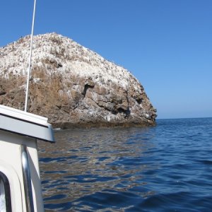 IMG 0634