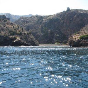 IMG 0660