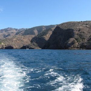 IMG 0661
